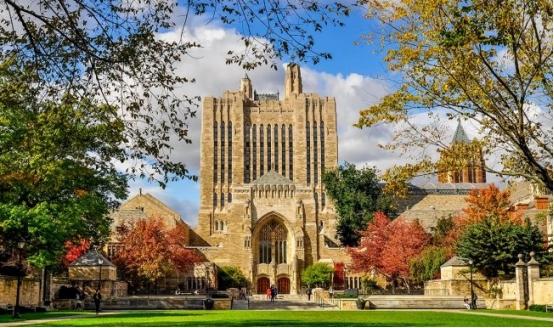 熱點:木頭居然變成了塑料?甚至可用于汽車制造?